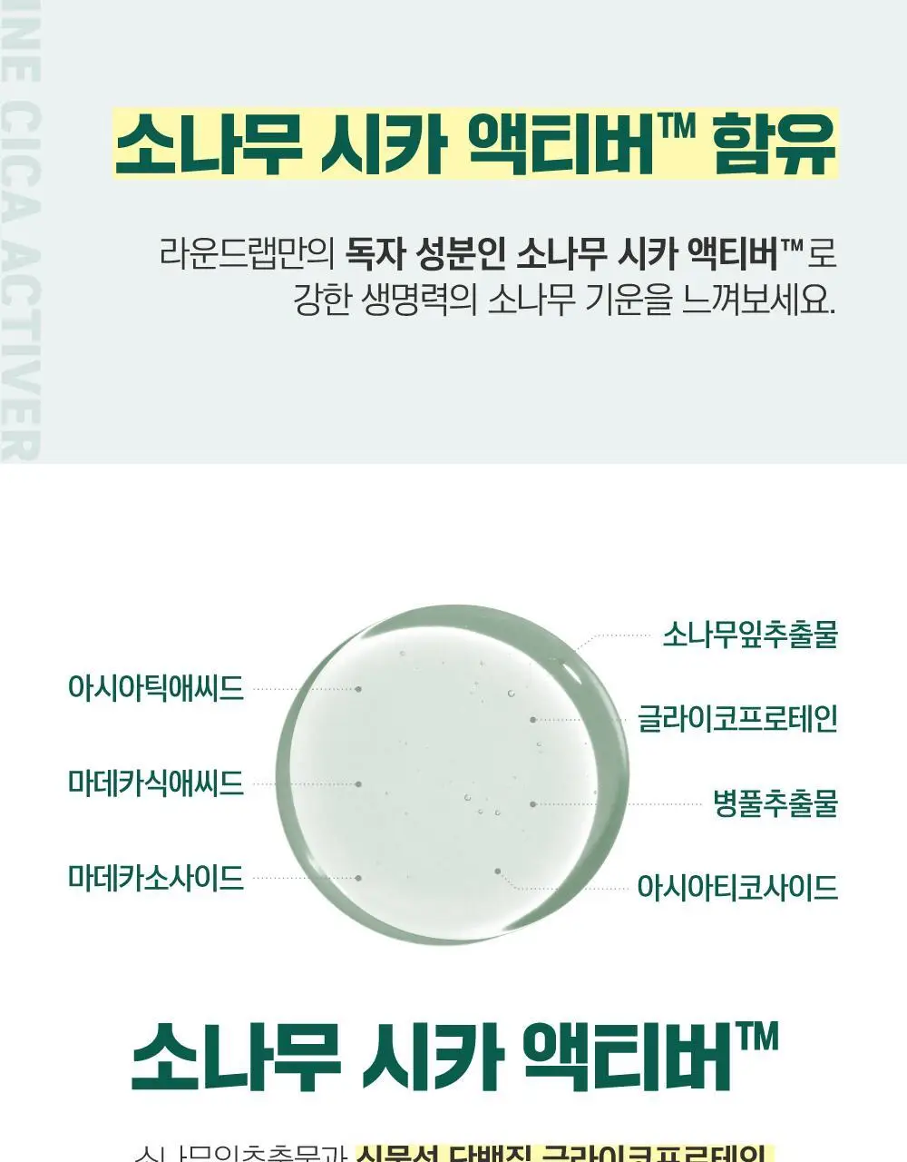 [모공진정/당김제로] 라운드랩 포 맨 소나무 진정 시카 클레이 팩 100ml 상세페이지 12